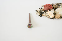 Mini sticks coral y abalón